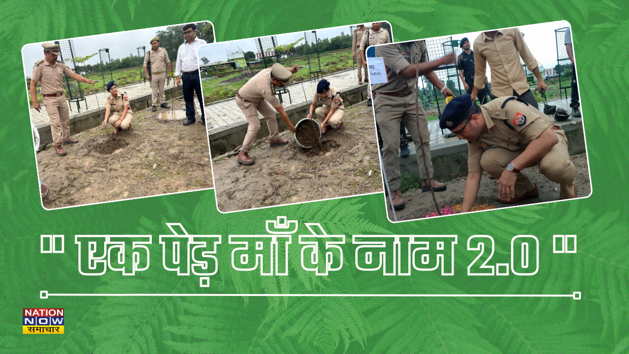 Tree Plantation Pilibhit