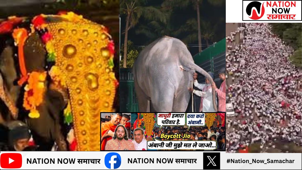 मठ से 'माधुरी' हथिनी को वनतारा भेजने का भारी विरोध, लोगों का मौन जुलूस, Jio पर भी गुस्सा