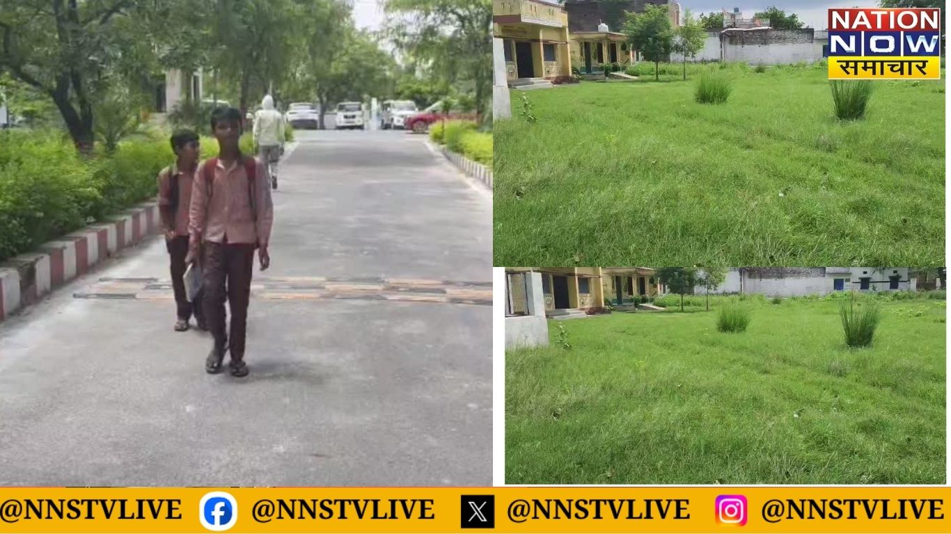 कानपुर देहात: सरकारी स्कूल में मासूम छात्रों से घास कटवाने का फरमान, डीएम ऑफिस तक पहुँचे बच्चे