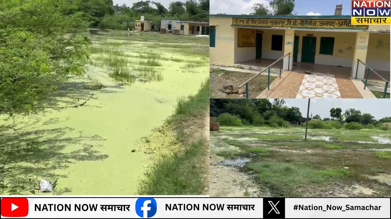 अमेठी: पीएम श्री विद्यालय सुजानपुर परिसर में जलभराव और मृतक गोवंश से फैली अव्यवस्था