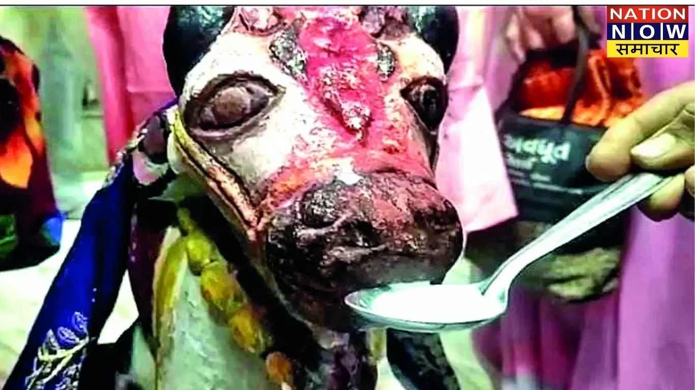 बाराबंकी: नंदी की मूर्ति ने भक्तों के हाथों से पिया दूध, शिवलिंग पर विराजमान नंदी बाबा