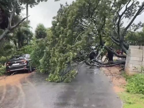आंध्र प्रदेश और ओडिशा में ‘मोंथा’ का कहर — 38 हजार हेक्टेयर फसल बर्बाद, 76 हजार लोग राहत शिविरों में