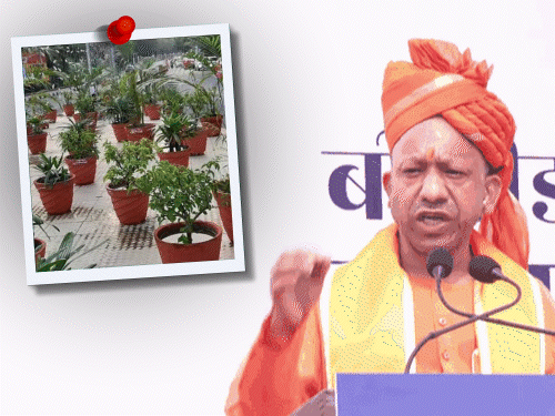 Akhilesh Yadav launches scathing attack on CM Yogi's remark on theft of flower pot from Mercedes