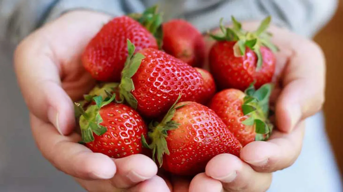 Strawberry benefits: स्ट्रॉबेरी के स्वास्थ्य लाभ…एक बेहतरीन फल, हफ्तेभर में जरुर खाएं