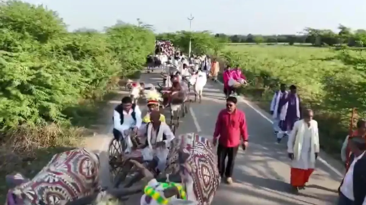 Bullock cart procession takes place in Hamirpur after 50 years, tradition revived