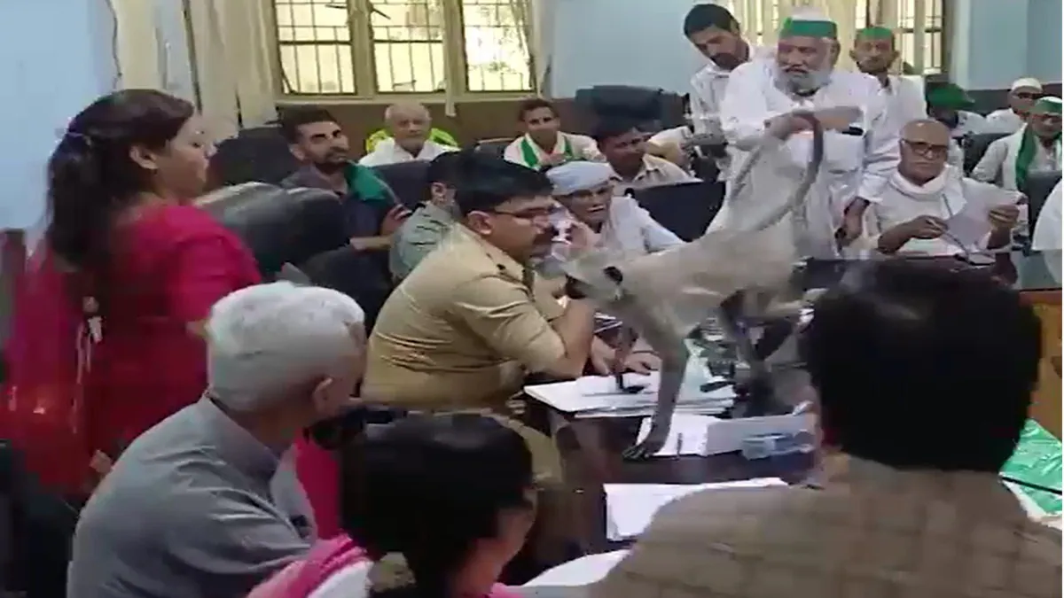 Baghpat News : किसान दिवस की बैठक में ‘VIP’ बना लंगूर: डीएम ने छोड़ी कुर्सी, बोलीं– “इधर बैठ जाओ”